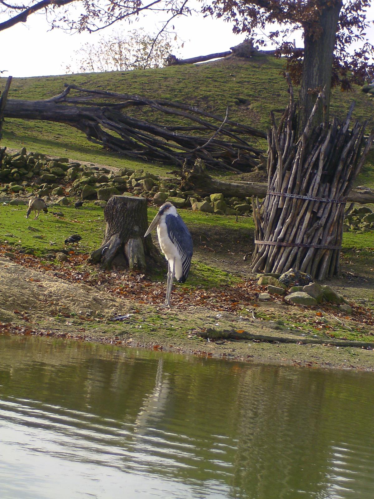 Zoom 18.10.08-127.jpg